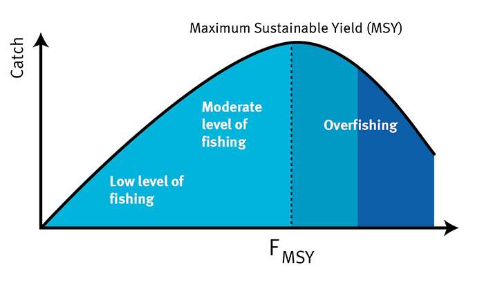 Sustainable Yield Maximums