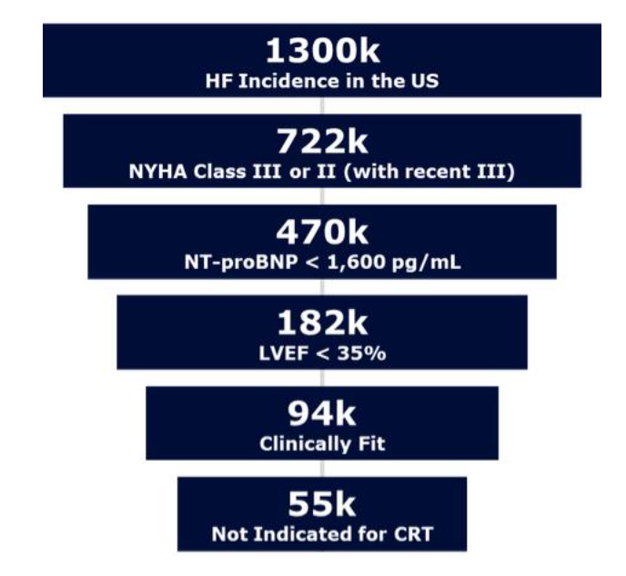 1300k 
HF Incidence in the US 
722k 
NYHA Class or 11 (with recent 111) 
470k 
NT-proBNP < 1,600 pg/mL 
182k 
LVEF 35% 
94k 
clinically Fit 
55k 
Not Indicated for CRT 