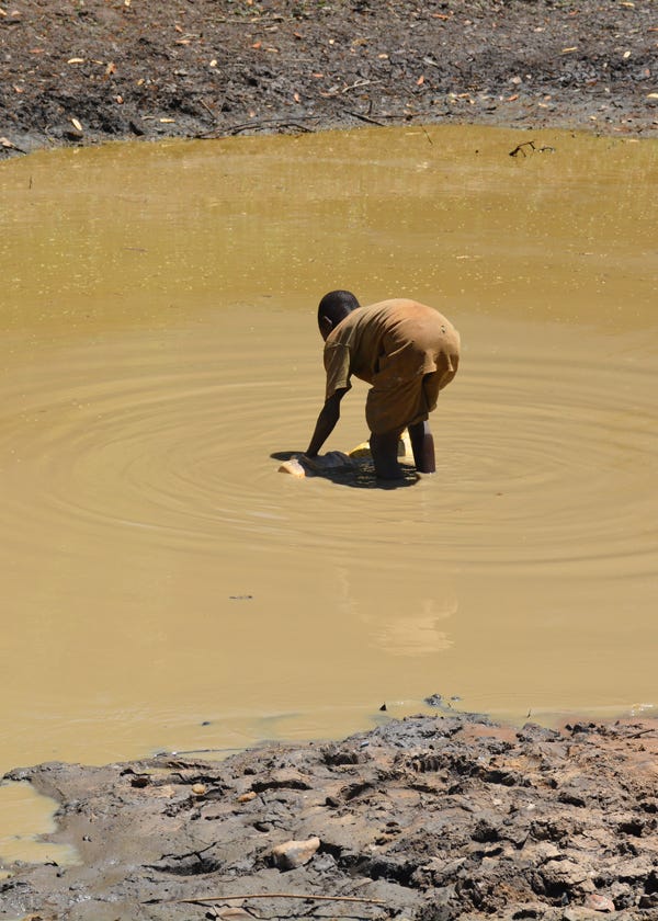a young boy in Africa wades into a dirty pond, stopping down to fill a water container.