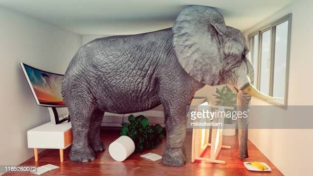 999 Elephant In The Room Photos and Premium High Res Pictures - Getty Images