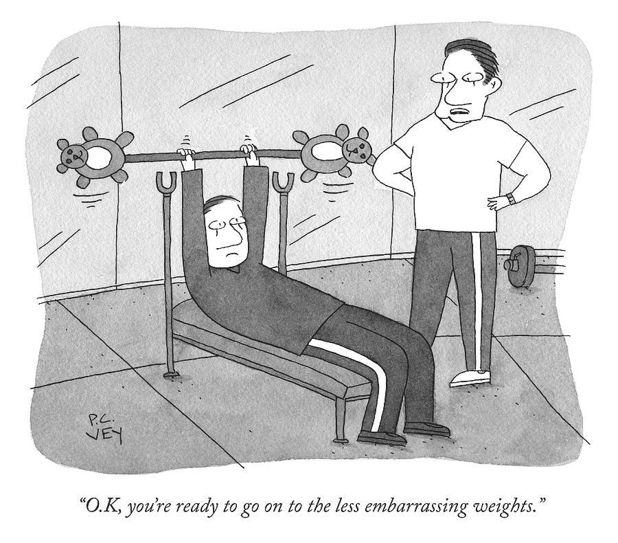 Less Embarrassing Weights by Peter C Vey