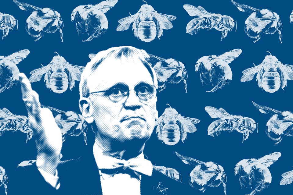 Stylized image of Blumenauer with a background of bees.