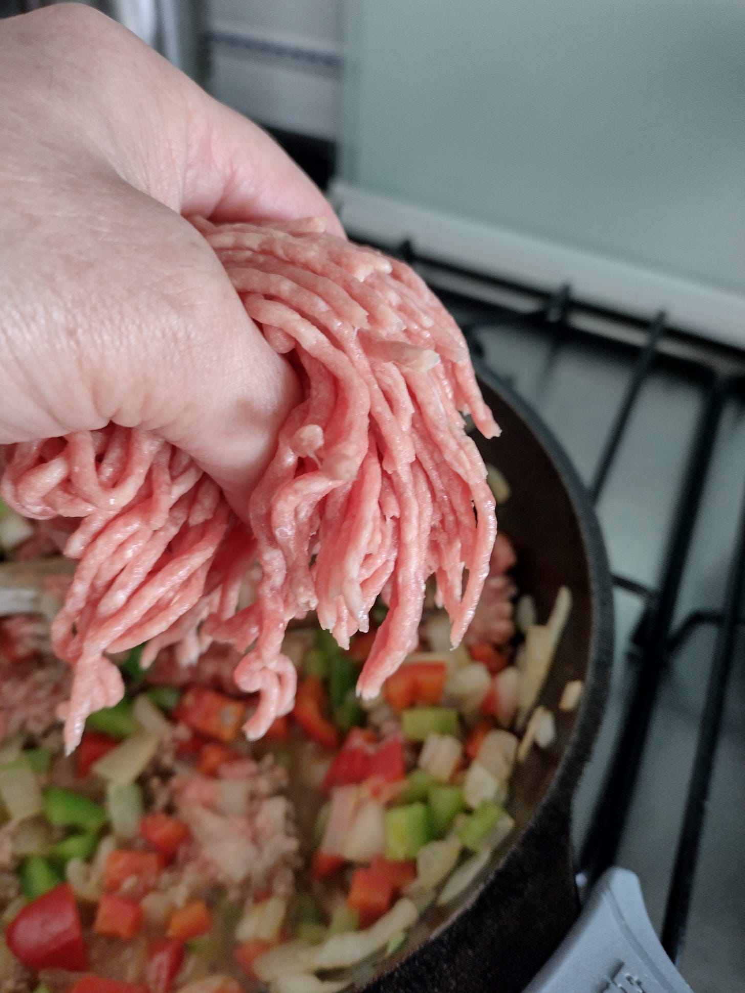Hand holding some ground beef
