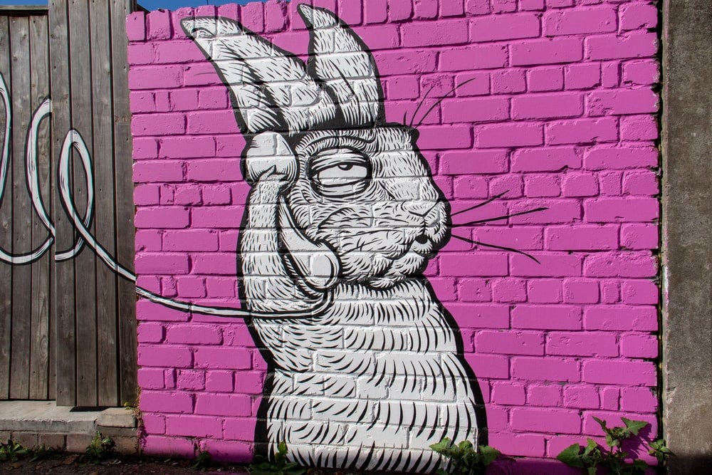white rabbit using telephone wall art