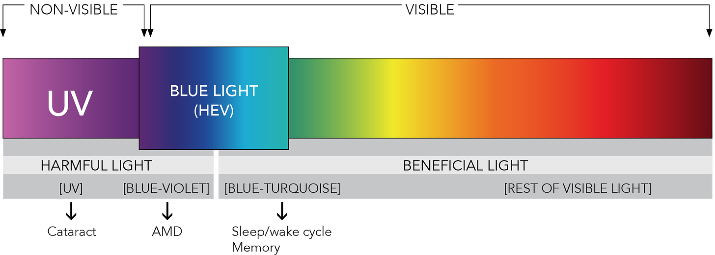 What is blue light? — Blue Light Exposed