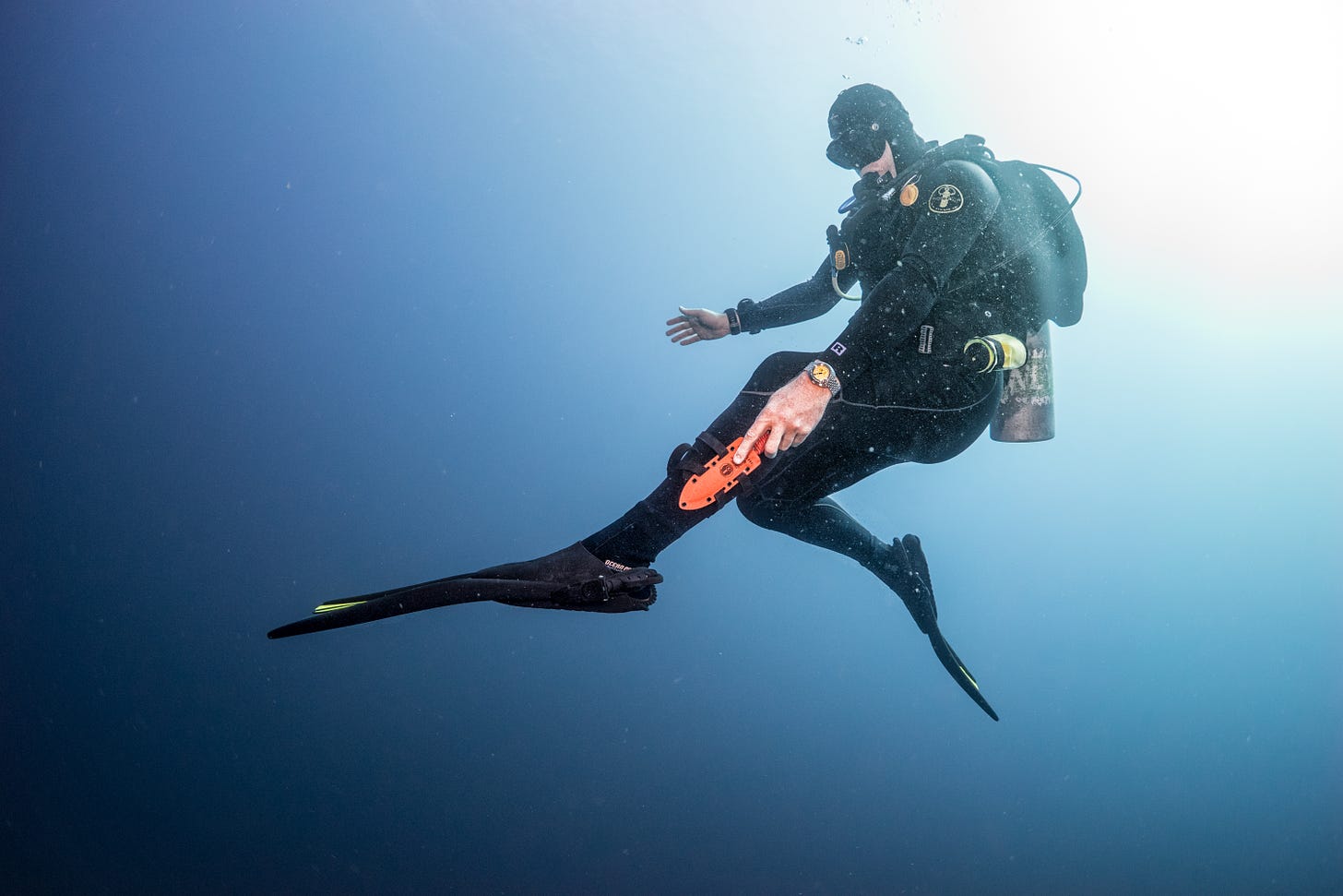 38 Spearfishing ideas  spearfishing, diving, scuba diving