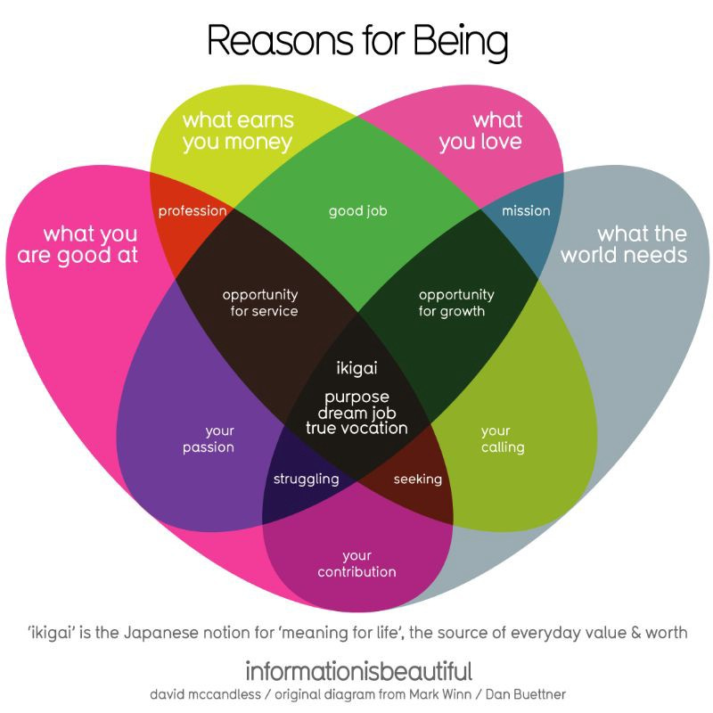 Ikigai — reason for being