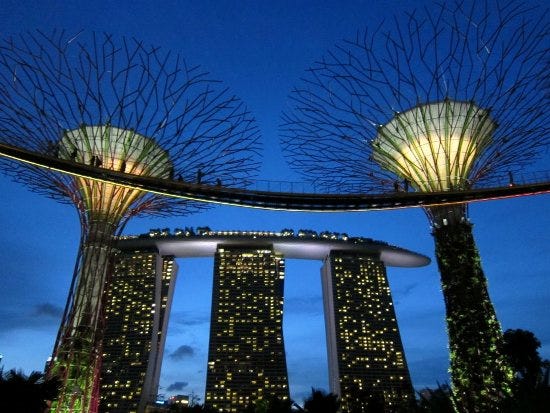 SINGAPORE: Gardens by the Bay