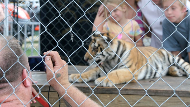 Oakland Zoo's Stance on Cub Petting