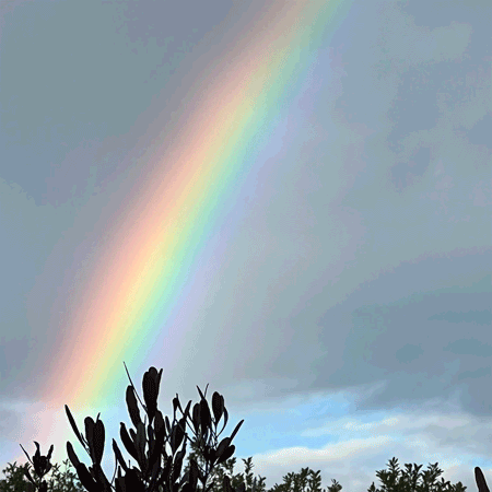 A photo animation of a rainbow arcing in the sky. The camera zooms in and the rainbow duplicates so that the sky is filled with rainbow stripes.