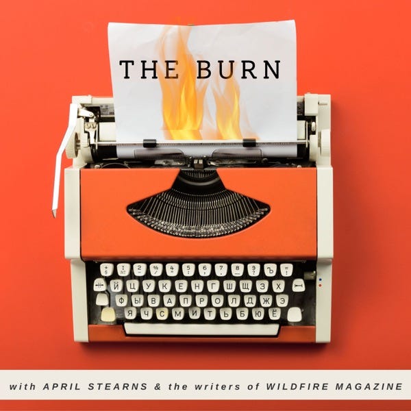 iTunes Artwork for 'The Burn (by April Stearns)'