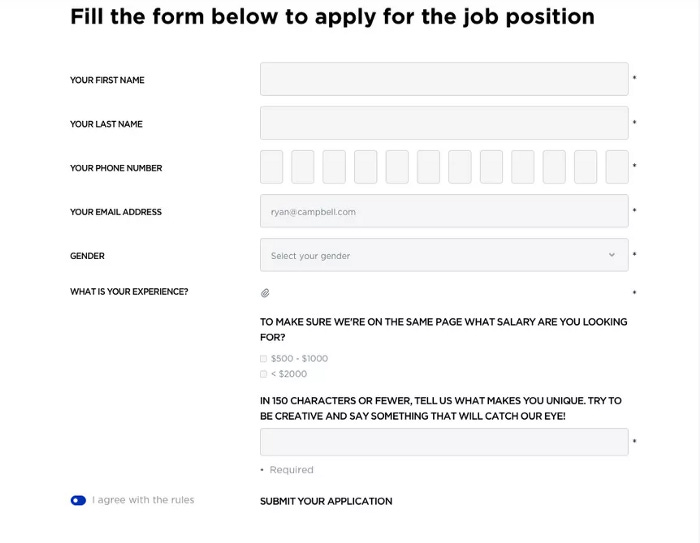 A badly designed job application form, with the certain things like Phone number and salary range being shown with broken or otherwise incorrect format fields.