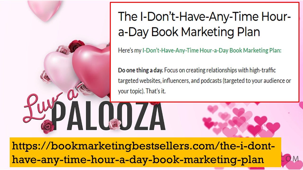 The I-Don't-Have-Any-Time Hour-a-Day Book Marketing Plan