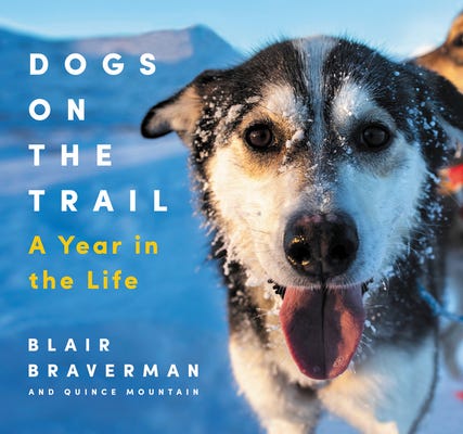 Cover of Dogs on The Trail, featuring a snow-covered sled dog named Pepe, with her happy tongue hanging out