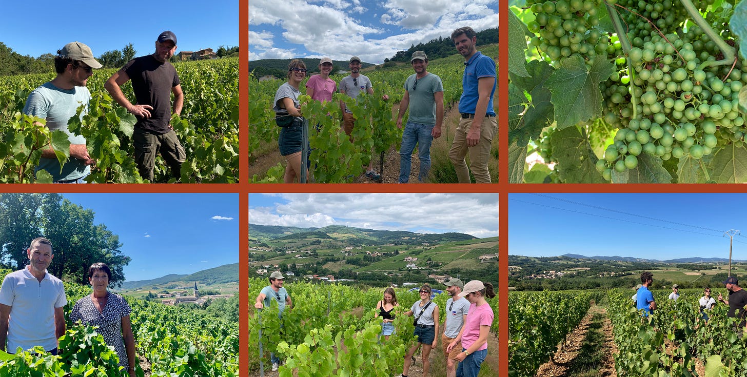 Visite des vignes dans le Beaujolais