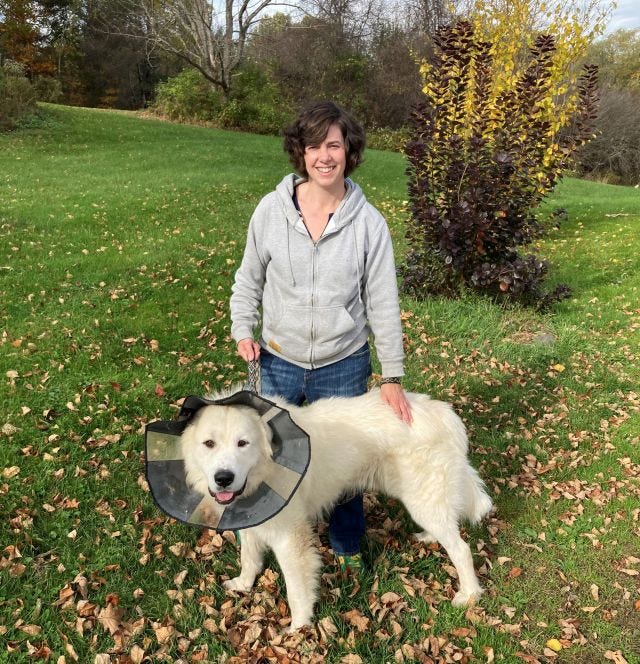 Emily, a white woman, stands in her yard holding the leash of a Great Pyrenees dog. The dog is wearing a large cone collar