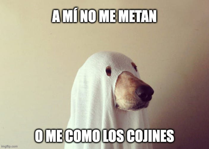 Perro disfrazado de fantasma con una sábana que dice: "A mí no me metan, o me como los cojines"