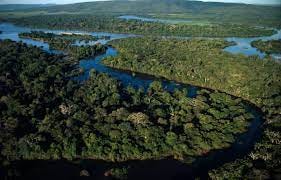 11 Facts About the Pantanal Wetlands
