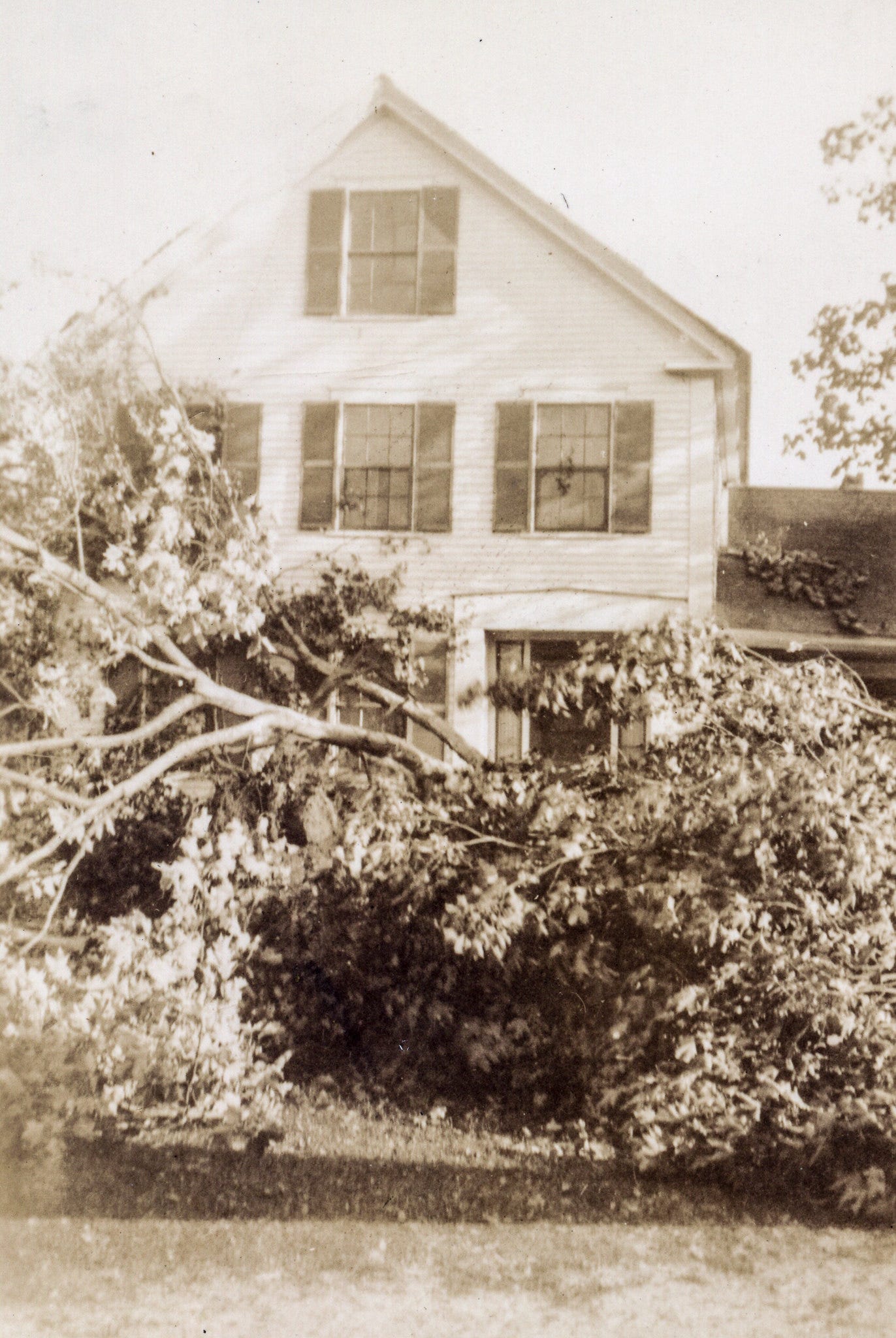 1938 Hurricane Damage