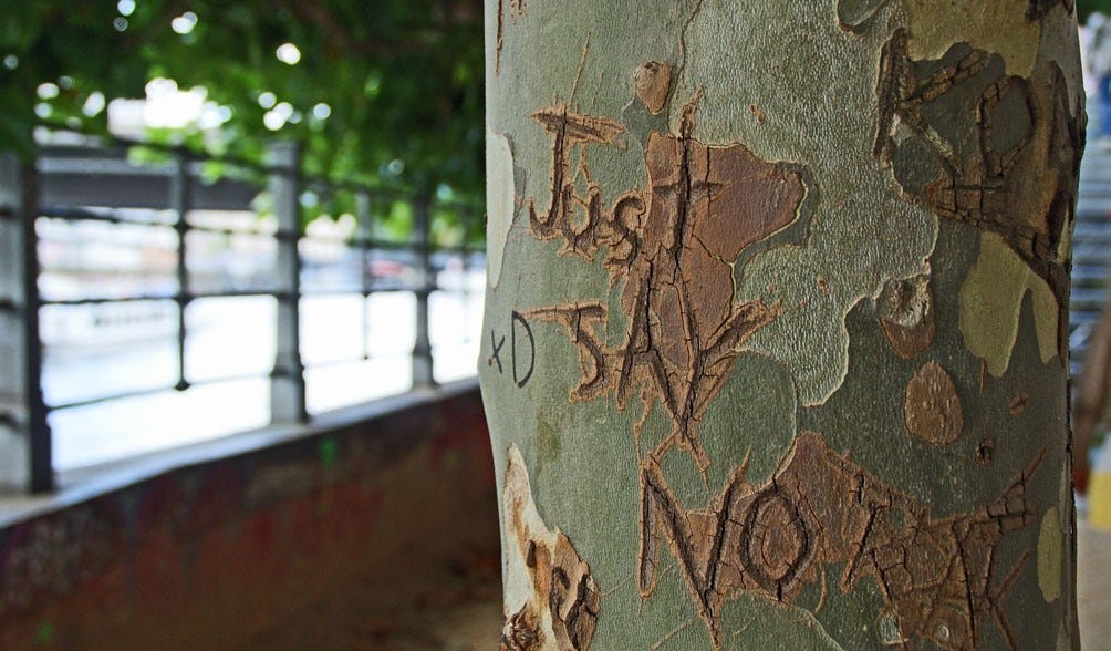 a tree that says "just say no"​ on it