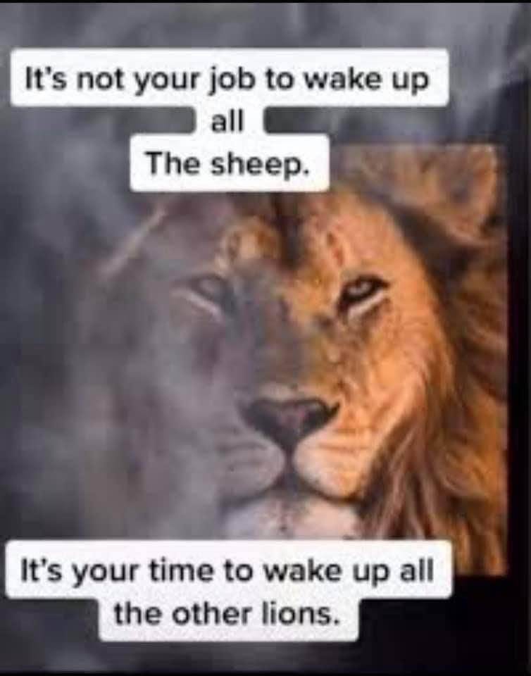 May be an image of text that says 'It's not your job to wake up all The sheep. It's your time to wake up all the other lions.'