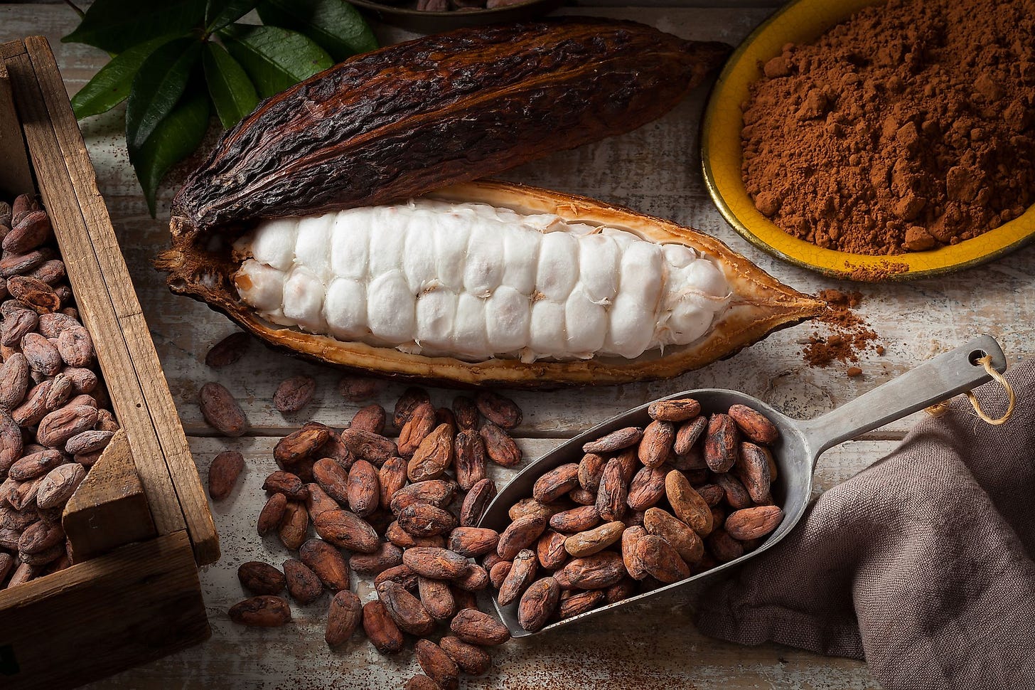 The Top Cocoa Producing Countries In The World - WorldAtlas