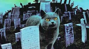 Pet Sematary movie synopsis and casting revealed | Entertainment ...