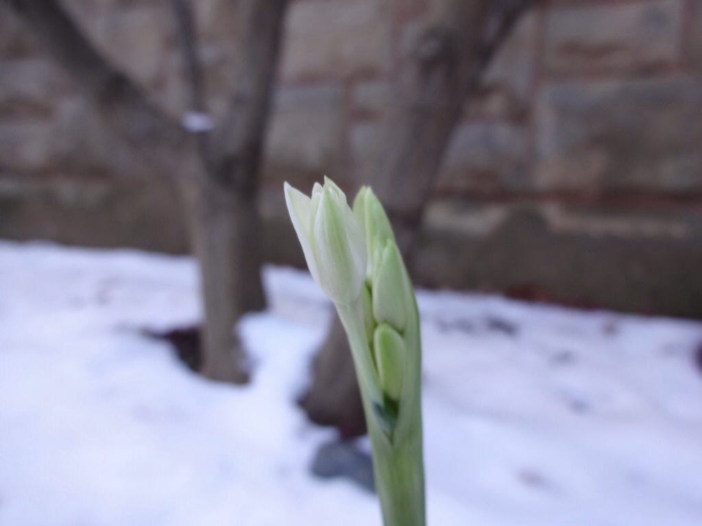 20131212-205412.jpg 20131212-205412.jpg