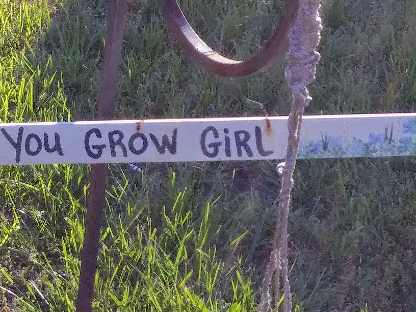 In the background, short green grass. In the foreground, a thin, rectangular sign says "You Grow Girl" in black writing. Blue flowers are on the far right of the sign. The sign hangs from stake.