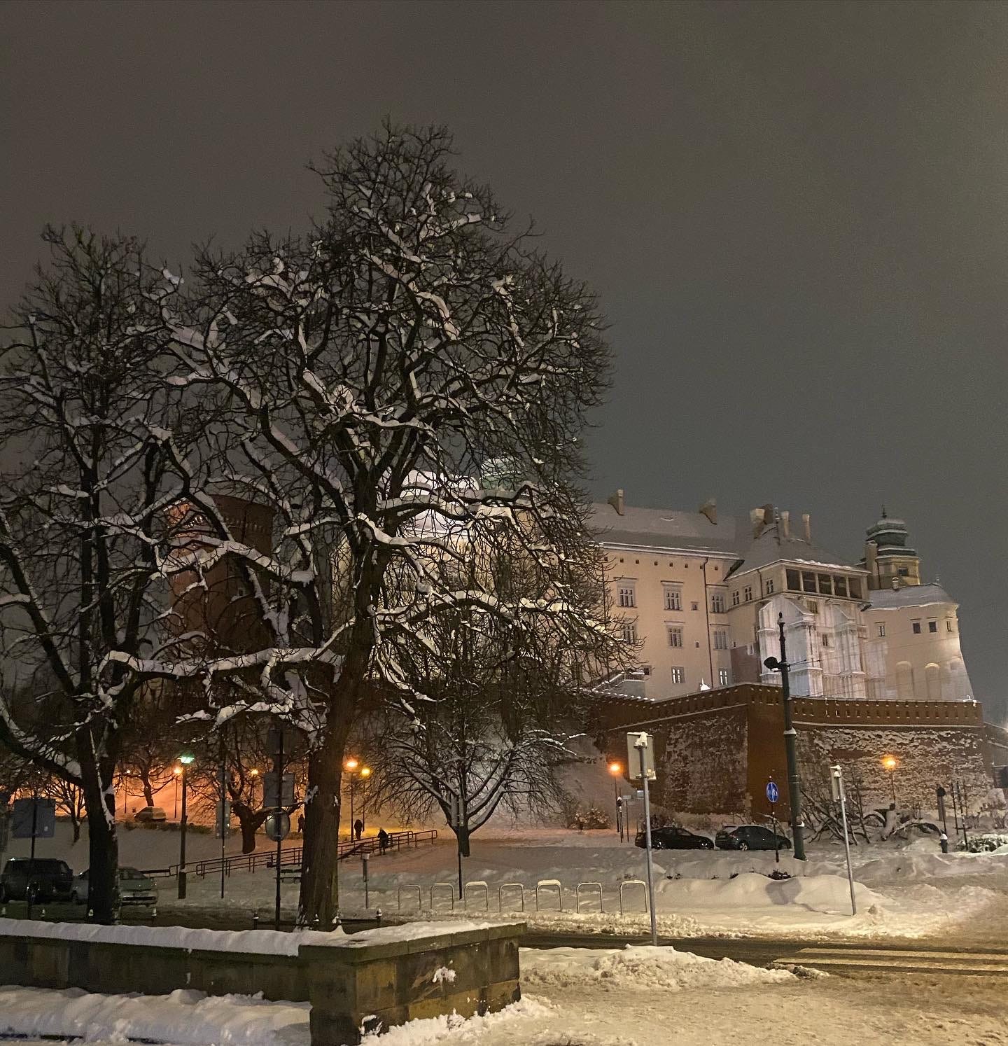 A snowy scene. A building looms in the background. In the foreground, there is a snow-covered tree. It is night. Street lamps are on.