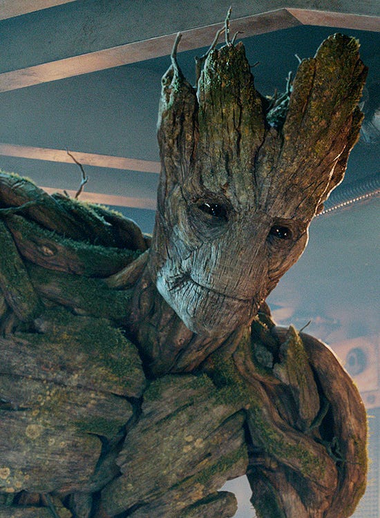 https://static.wikia.nocookie.net/nurdpedia/images/d/d3/Groot.jpg/revision/latest?cb=20160816010636