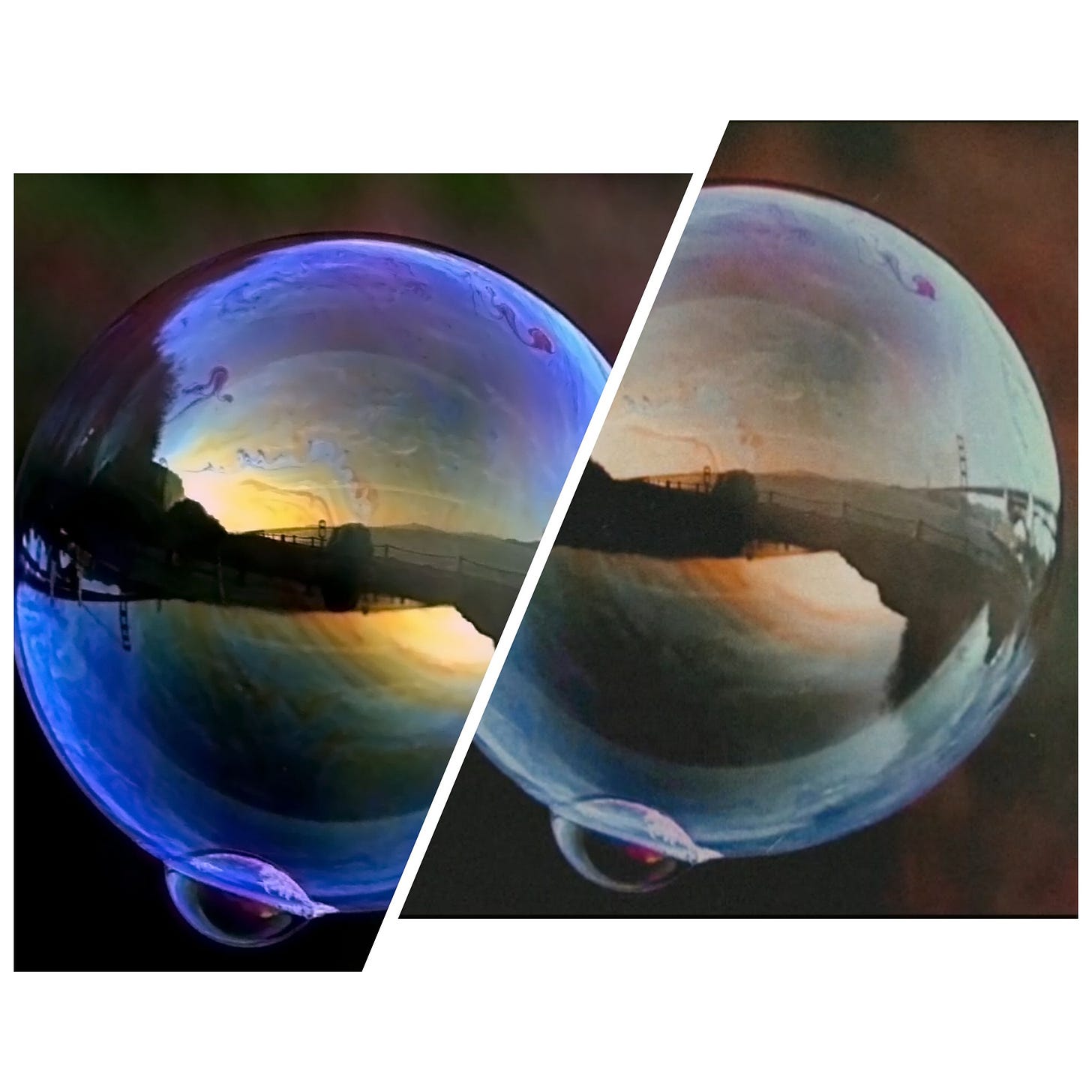 Two bubbles with little bubbles attached to them at the bottom, split in the middle with reflections of a green nature scene and varying colour schemes, the bubble on the left being more blue and the bubble on the right rusty in tinge.