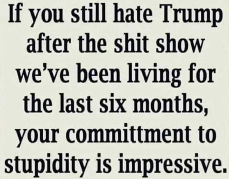 May be an image of one or more people and text that says 'If you still hate Trump after the shit show we've been living for the last six months, your committment to stupidity is impressive.'