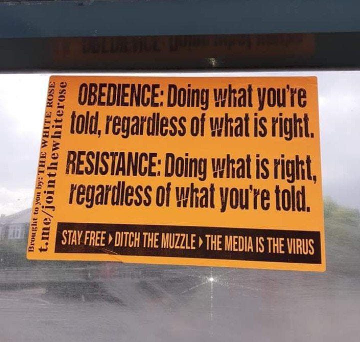 Obedience Vs. Resistance White Rose Sticker