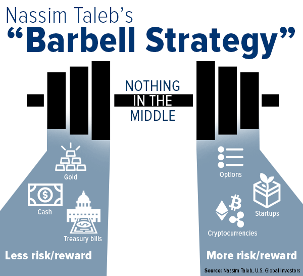 Nassim Taleb's Barbell investment strategy – Theory of Constraints