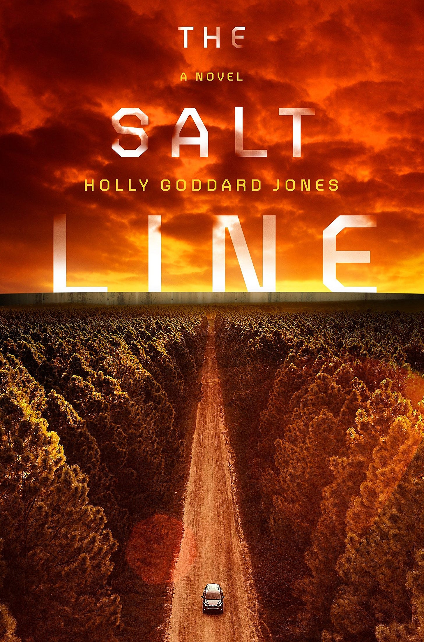Book cover of The Salt Line