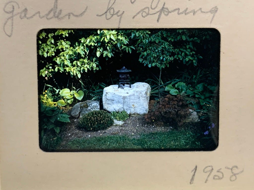 Slide labeled "Garden by spring 1958" showing a pale grey rock with a small metal lantern resting on top surrounded by groundcover plants.