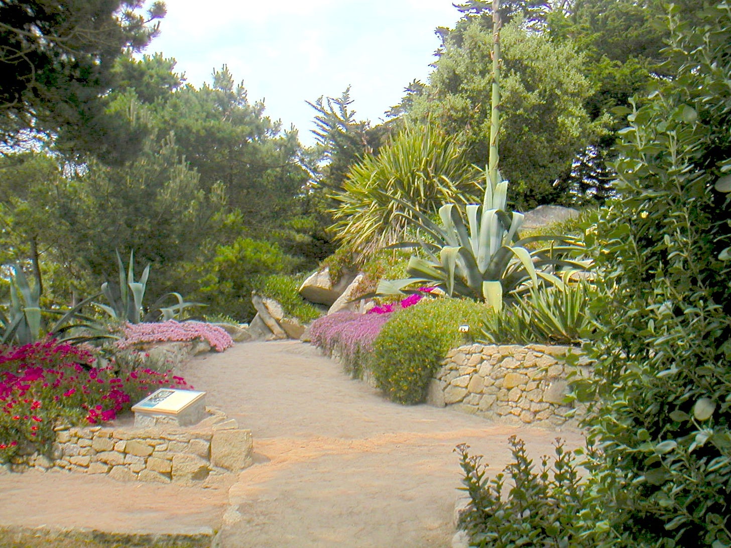 Jardin Georges Delaselle — Wikipédia