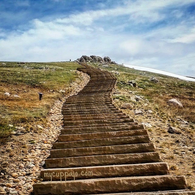 Climbing stairs is an everyday movement we should be good at Climbing stairs is an everyday movement we should be good at