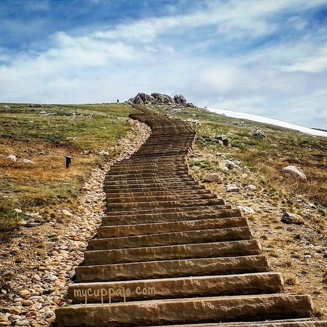 Climbing stairs is an everyday movement we should be good at