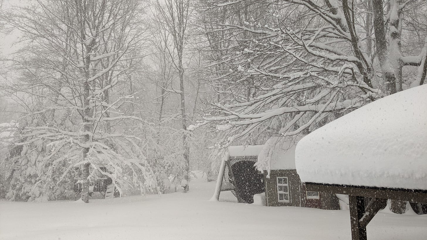 Photograph of Danny's backyard covered in heavy snow