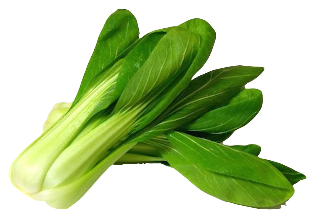 Bok Choy PNG Image - PurePNG | Free transparent CC0 PNG Image Library