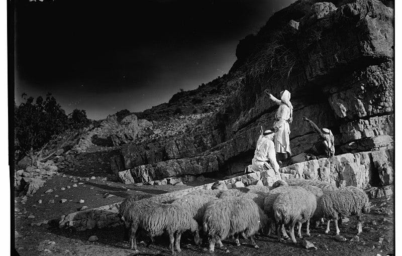 Shepherd, night – poem prayer silence