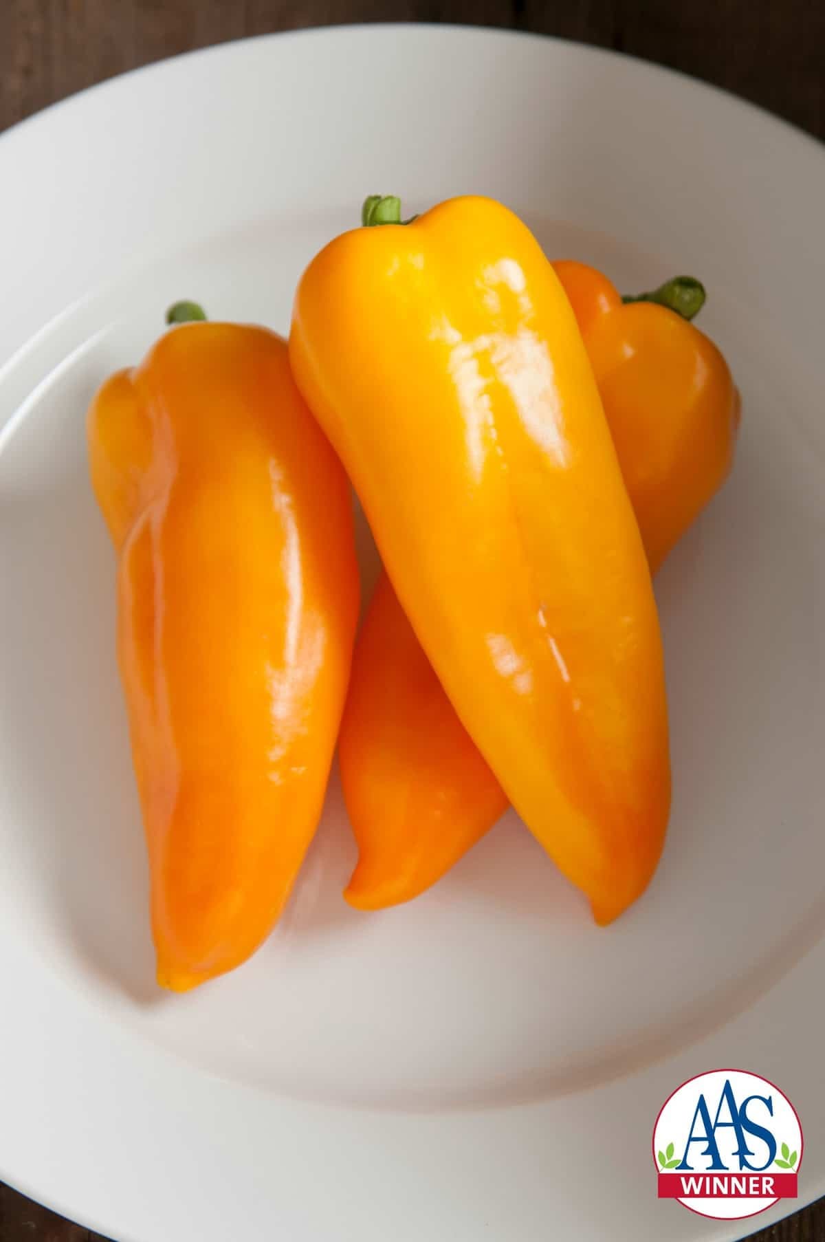 Cornito Giallo pepper