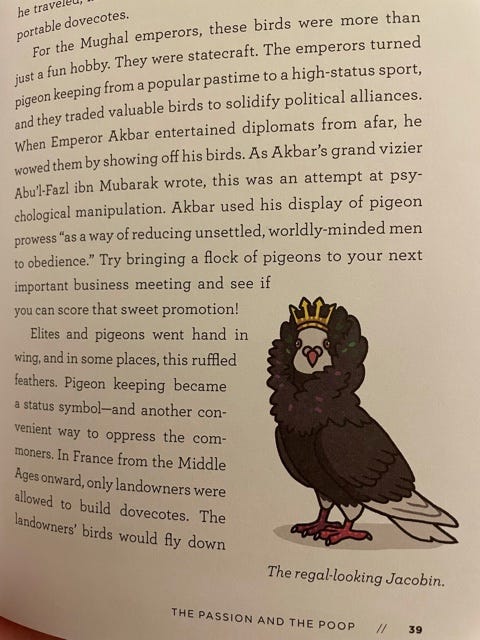 Picture of pigeon with what looks like a ruffled muff around her neck, but it's feathers, and in this illustration, wearing a crown