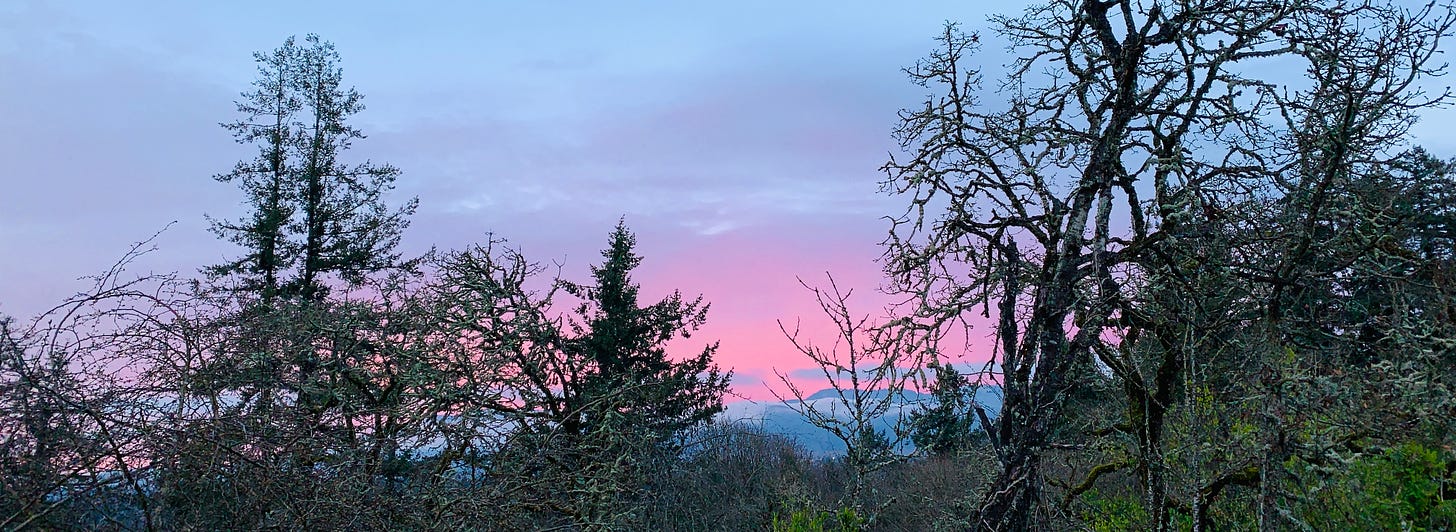 Sunset in Eugene, OR
