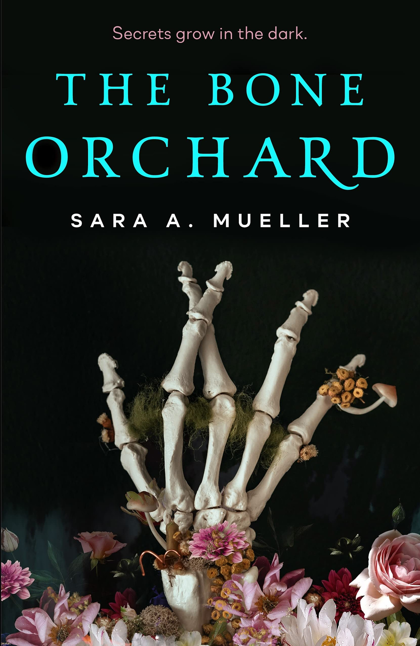 Cover of The Bone Orchard by Sara A. Mueller
