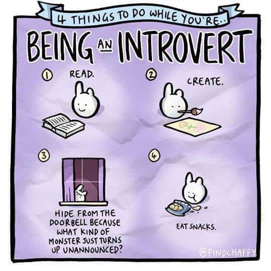 24 Funny and Relatable Introvert Memes - SayingImages.com