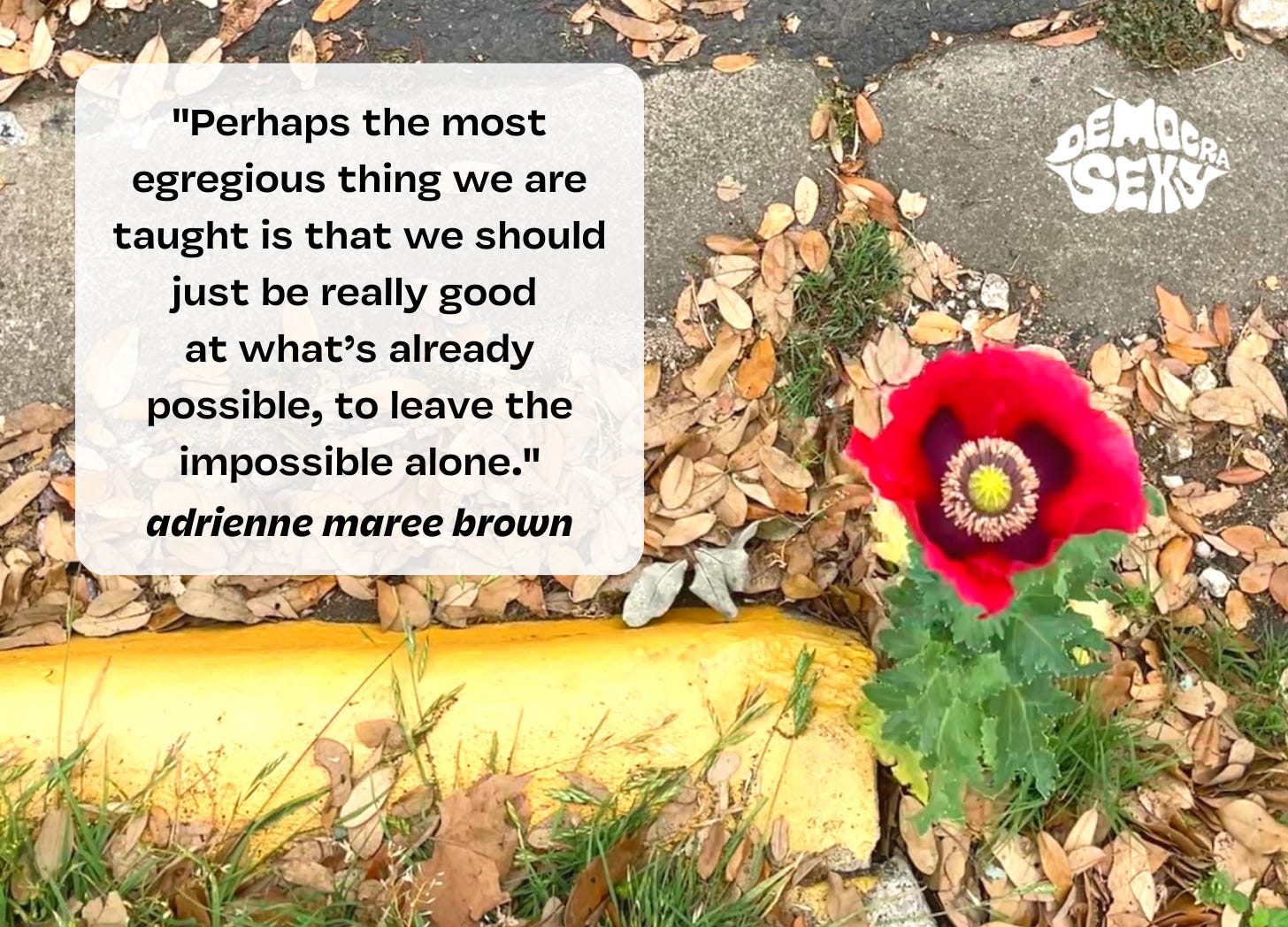 Photo of a bright red poppy growing in a gutter next to a yellow curb. Quote overlayed from adrienne maree brown that says: "Perhaps the most egregious thing we are taught is that we should just be really good at what's already possible, to leave the impossible alone"