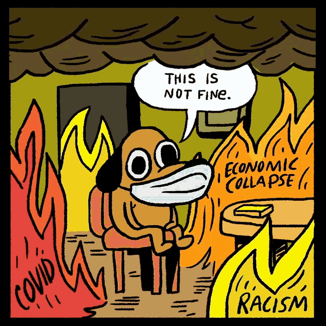 This is Not Fine meme dog sitting in a burning room wearing a mask, and the flames are captioned Economic Collapse, Covid, and Racism